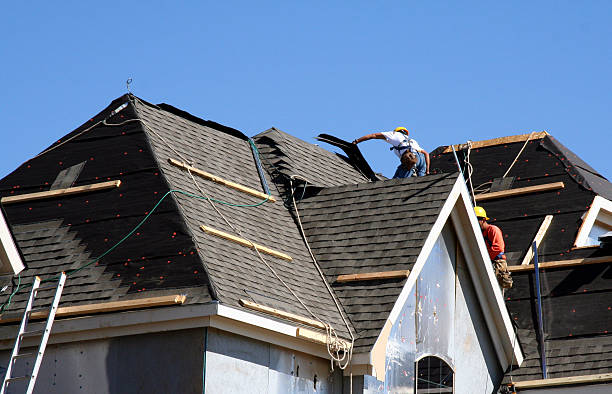 Best Roof Maintenance and Cleaning  in Newark, NY